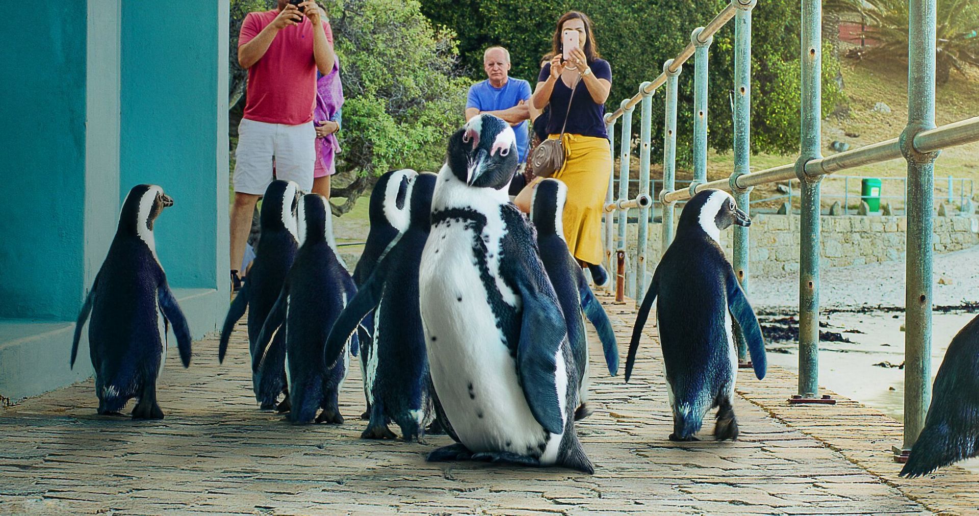 Penguin Town (Image via Netflix)